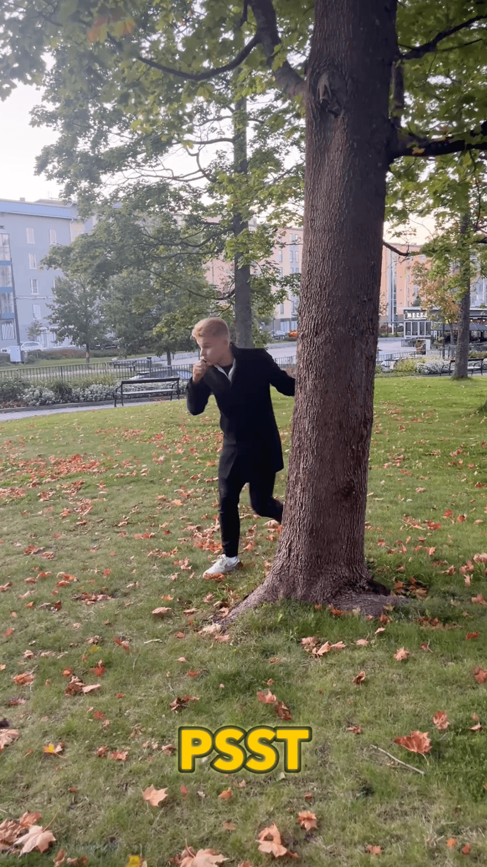 Googlen suuri harhautus - Profit Link blogi